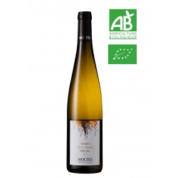 Alsace Terroir Pinot Gris Petits Grains 2023 BIO