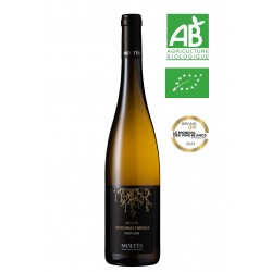 Alsace Vendanges Tardives Pinot Gris 2022 BIO