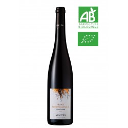 Alsace Terroir Pinot Noir Sonnenglaenzlé BIO 2023