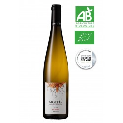 Alsace Tradition Riesling 2023 BIO